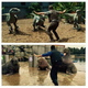 Illustration for article titled Zookeepers, Nows Your Moment to Recreate iJurassic World/i